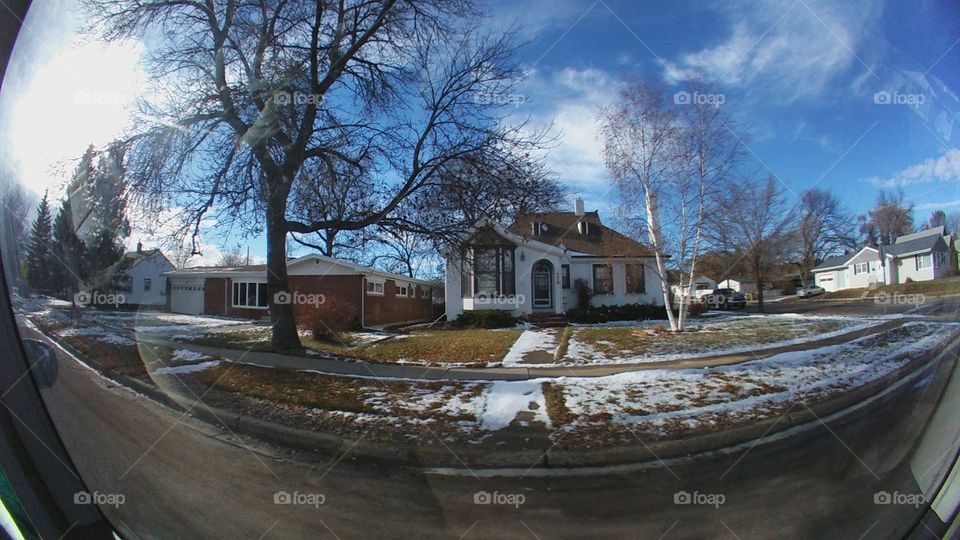 Tree, No Person, Wood, House, Architecture