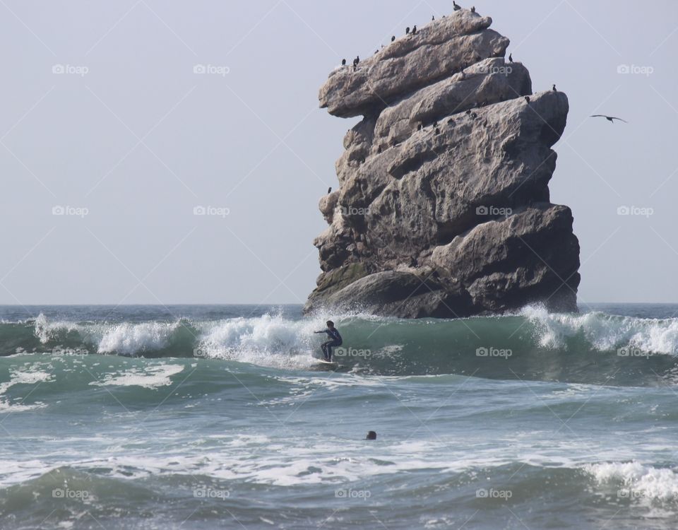 Surf the rock 