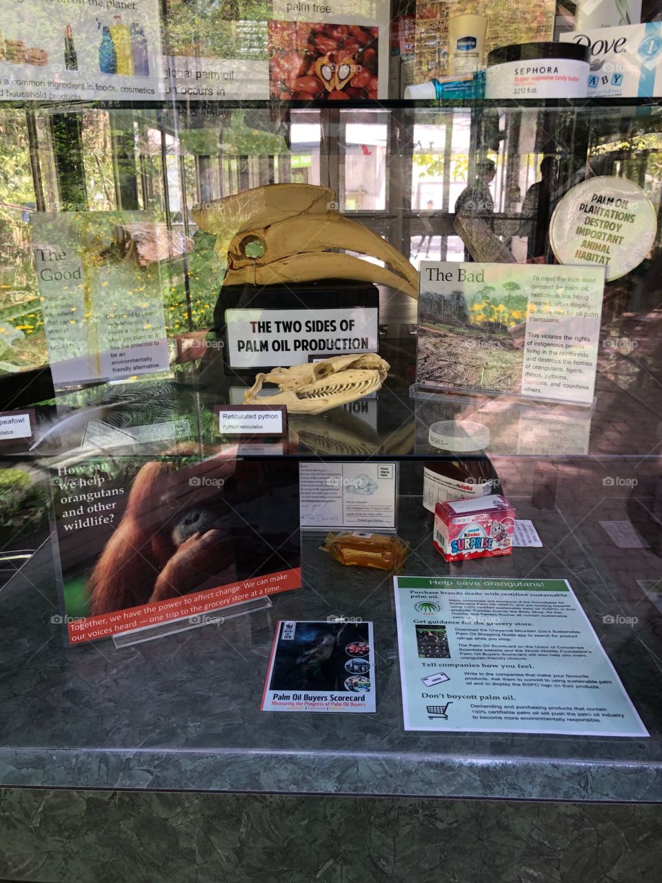 "The 2 sides of palm oil" display at the Toronto Zoo - how palm oil affects orangutans