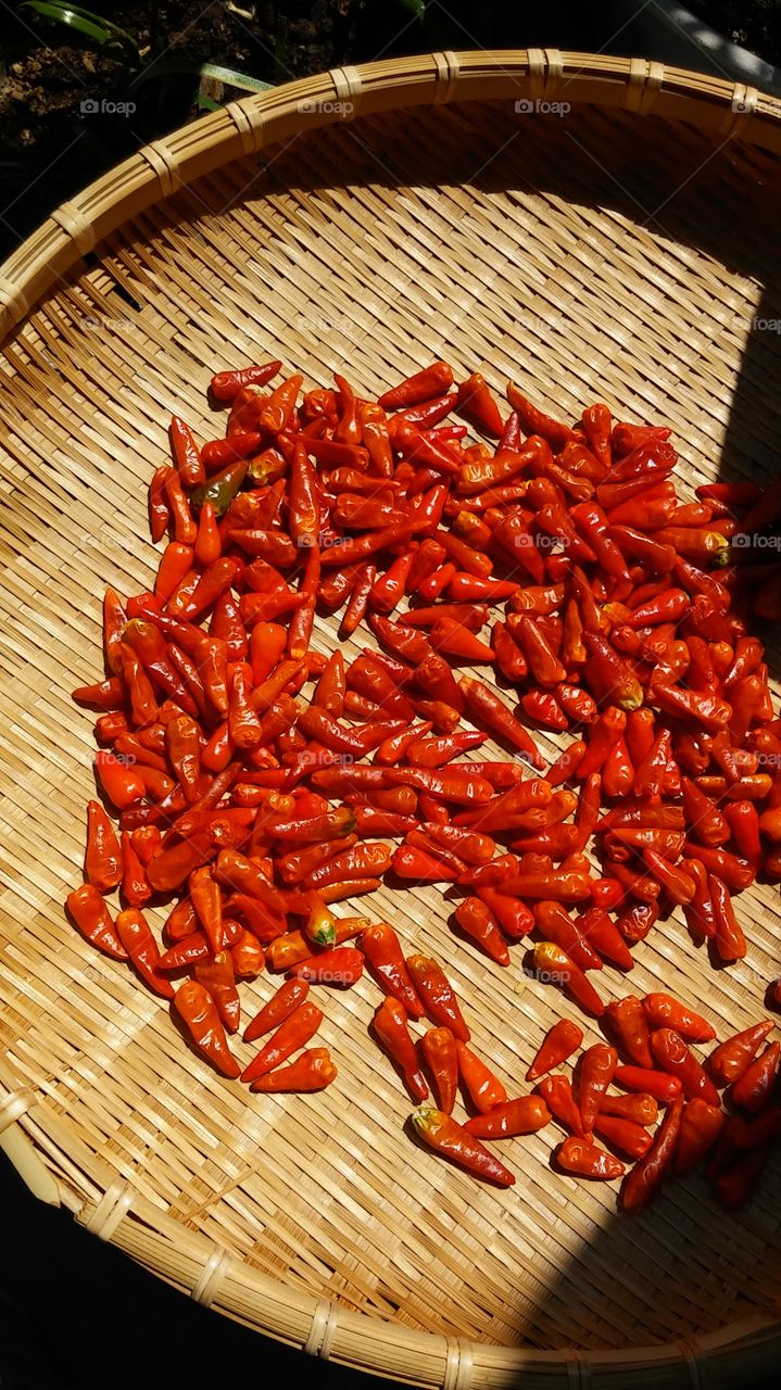 red chillies