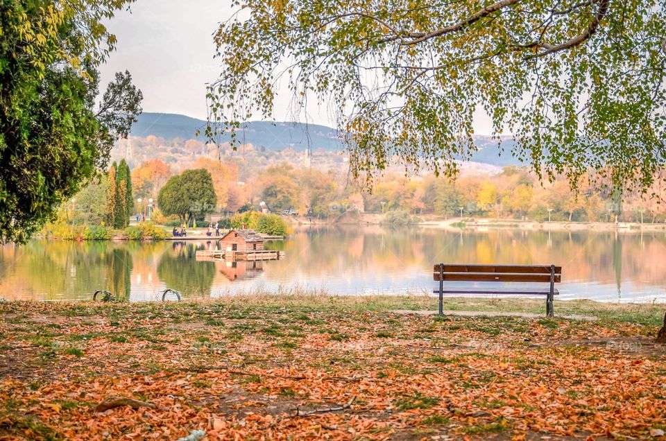 Autumn landscape