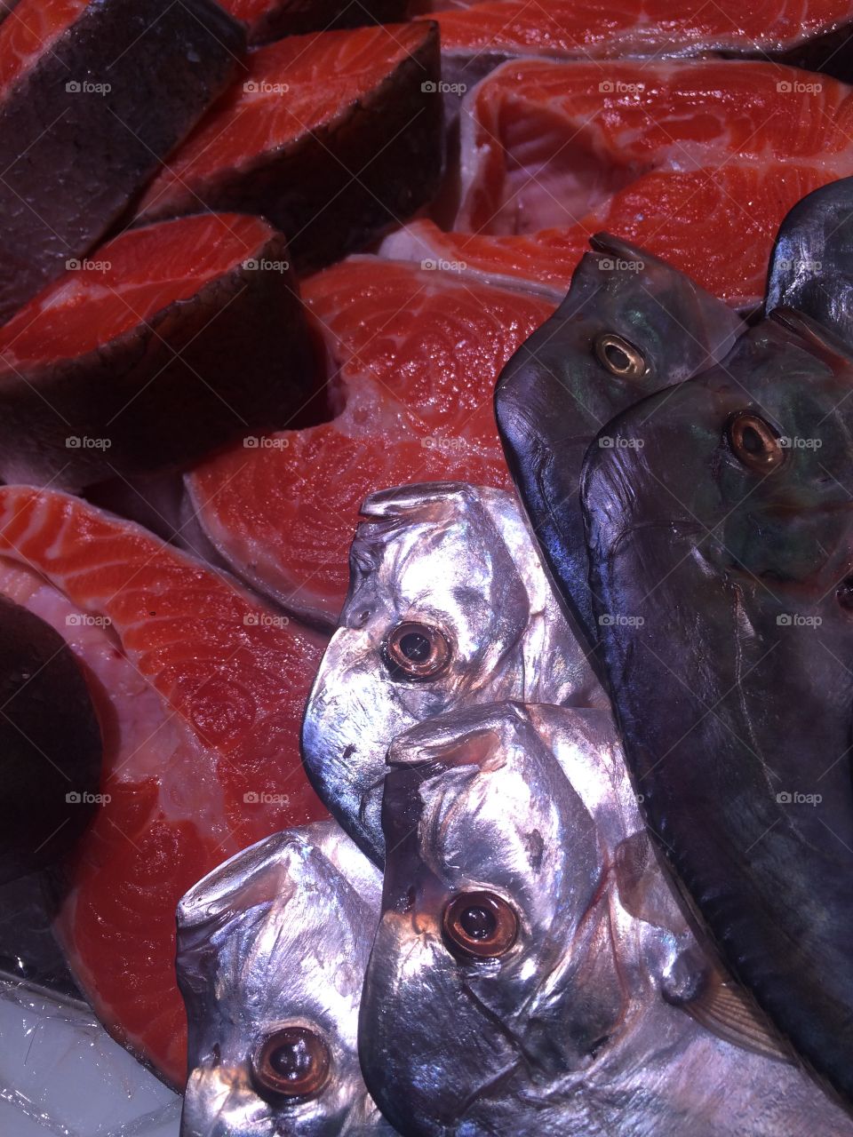 Close-up of fish for sale