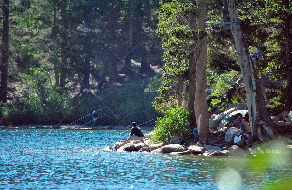 men fishing by the lake