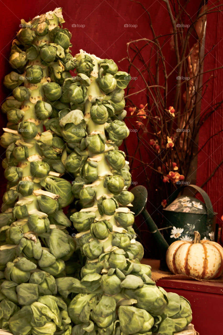 Brussels Sprouts 