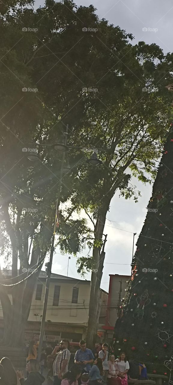 La navidad en Cartago Costa Rica Centroamérica