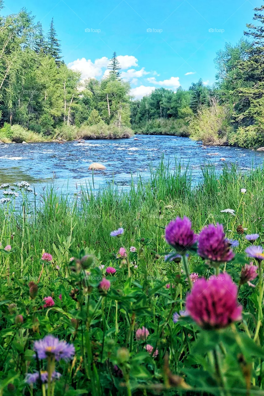 River