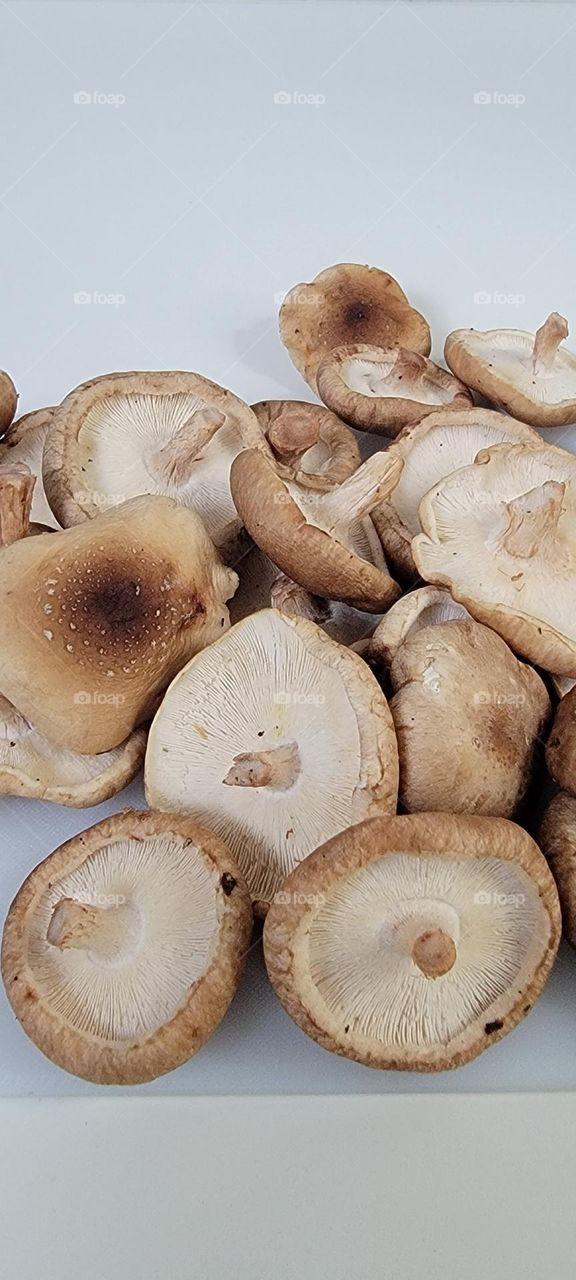 Shiitake
