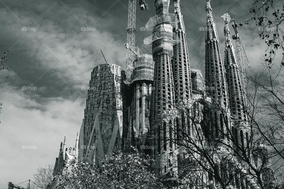 The Beauty of La Sagrada Familia