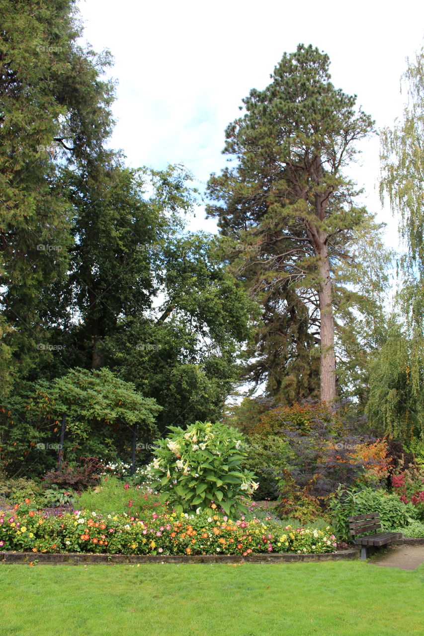 point defiance gardens 6