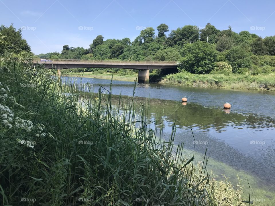 This photo brings the viewing a glorious canal scene, with wildlife a plenty to complete the picture, delivering nature at its very best.