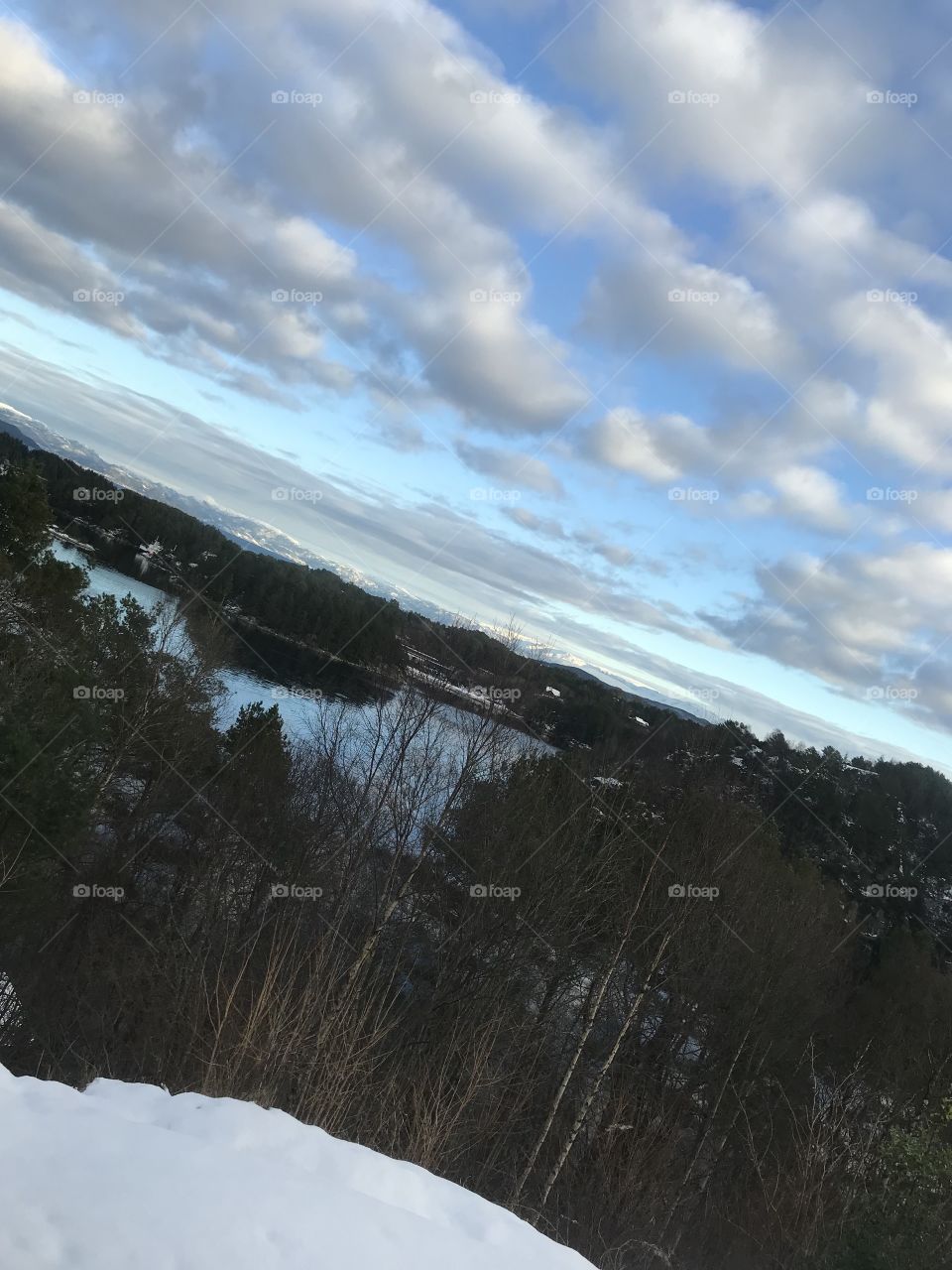 Snow, skies, ships, water, fjords and trees is some of what you see in this photo. The bubbly skies with the blue skies in the background make for an art-like look.