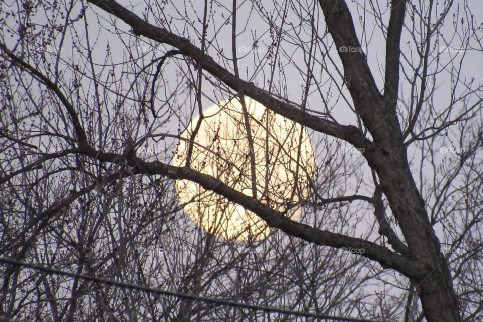 The moon in the morning before the sunrise 