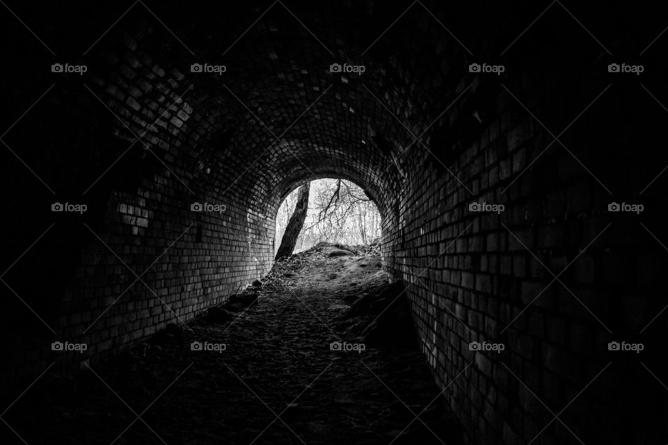 View of forest through old brick tunnel