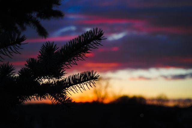 Spring sunset