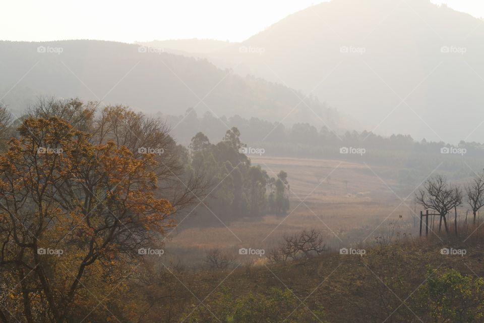 landscape Swaziland. landscape Swaziland mlilwane