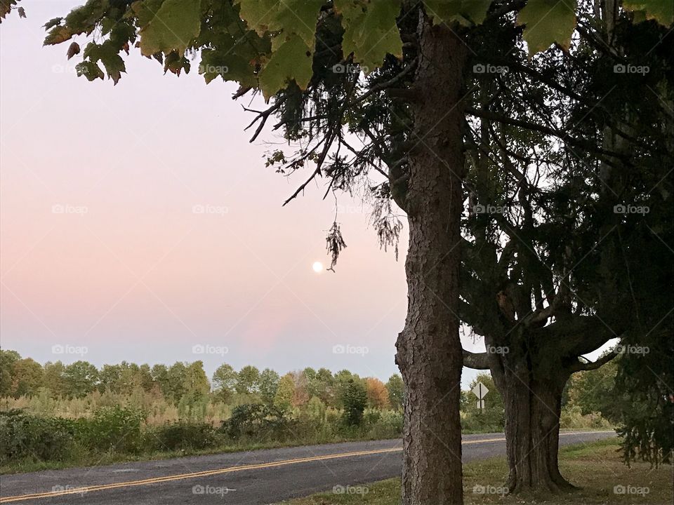 Early autumn moonrise 