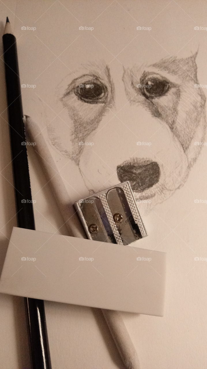 tools for a good sketch