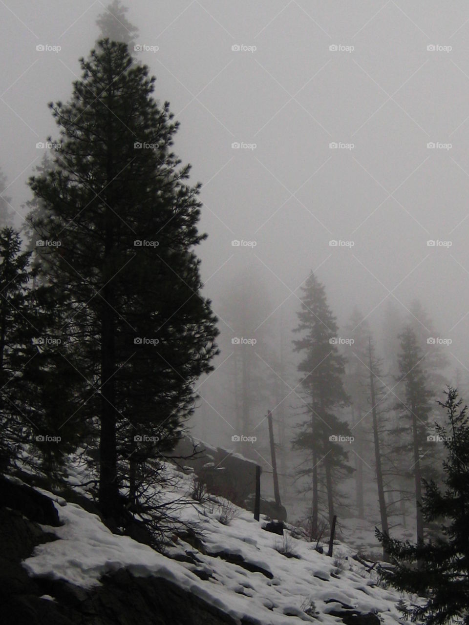 Snow, Winter, No Person, Nature, Fog