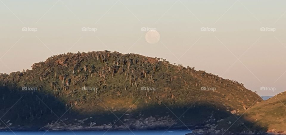 super lua na ilha das aranhas 🕷