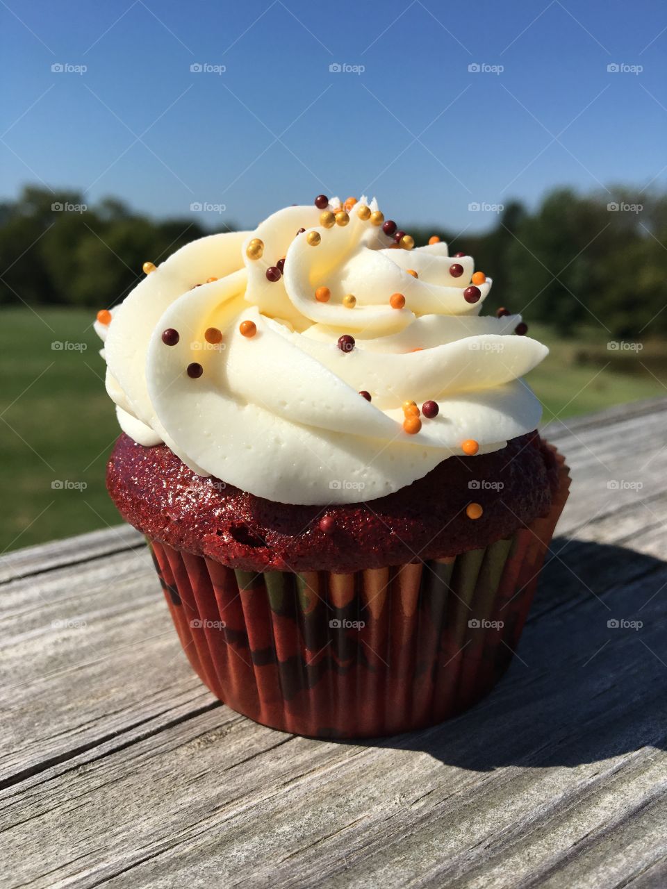 Red Velvet Cupcakes with Buttercream Icing 