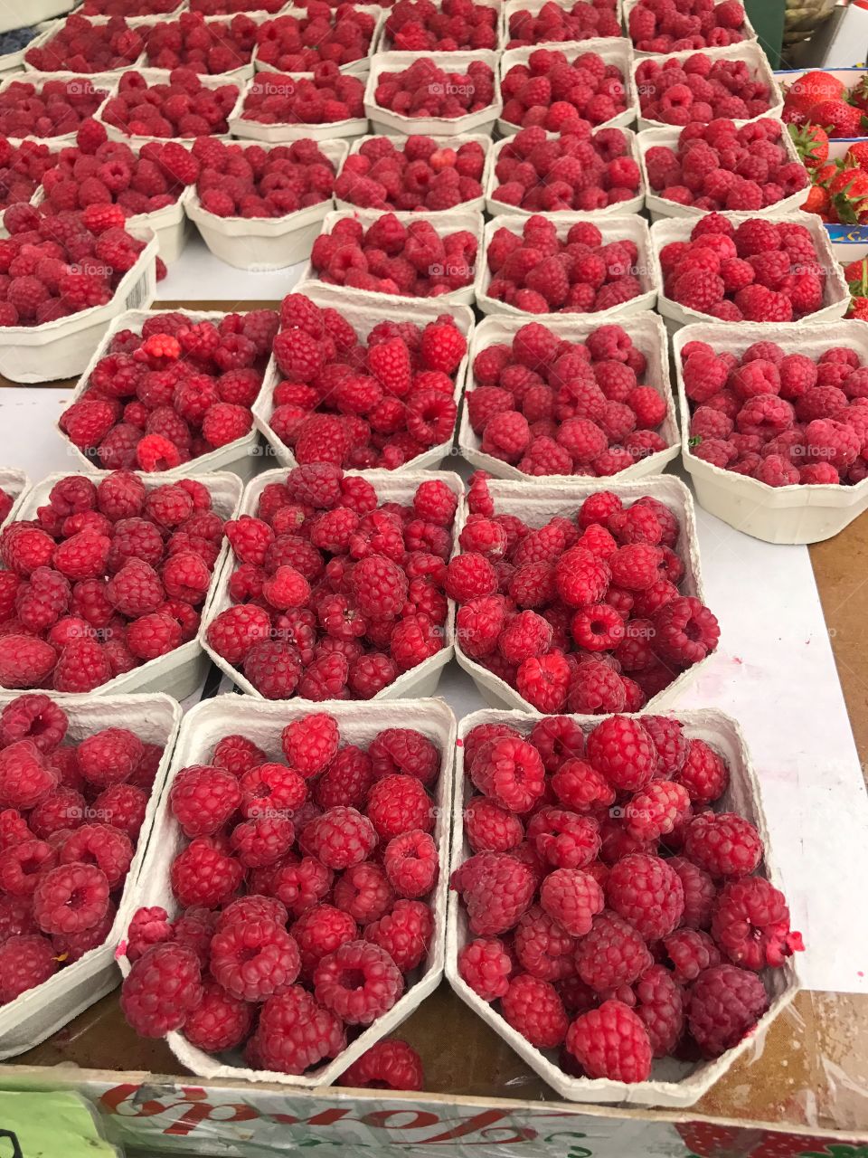 Red Raspberries 