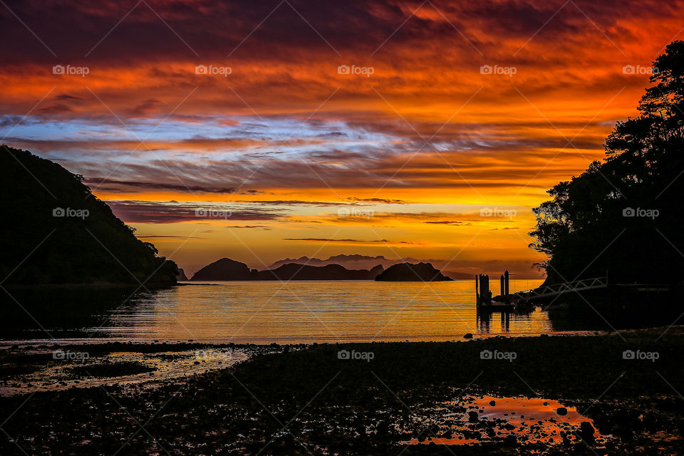 Great barrier island New Zealand sunset