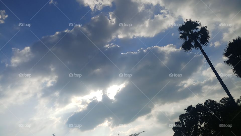 This is very beautyful click