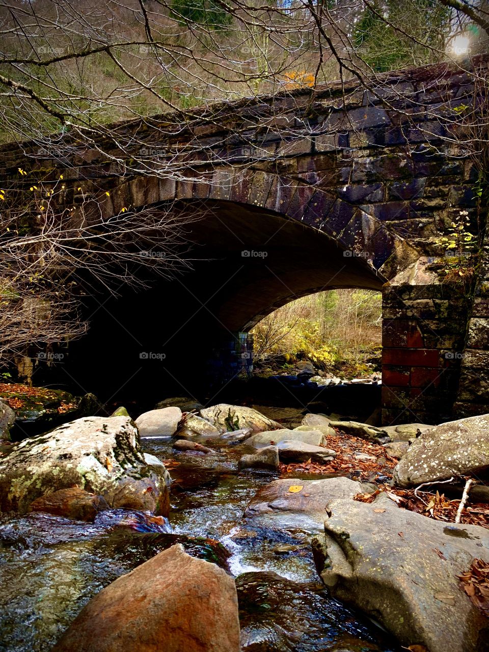 Smoky Mountains National Park 