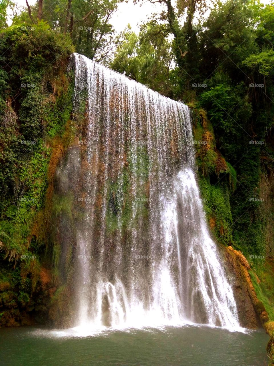 catarata