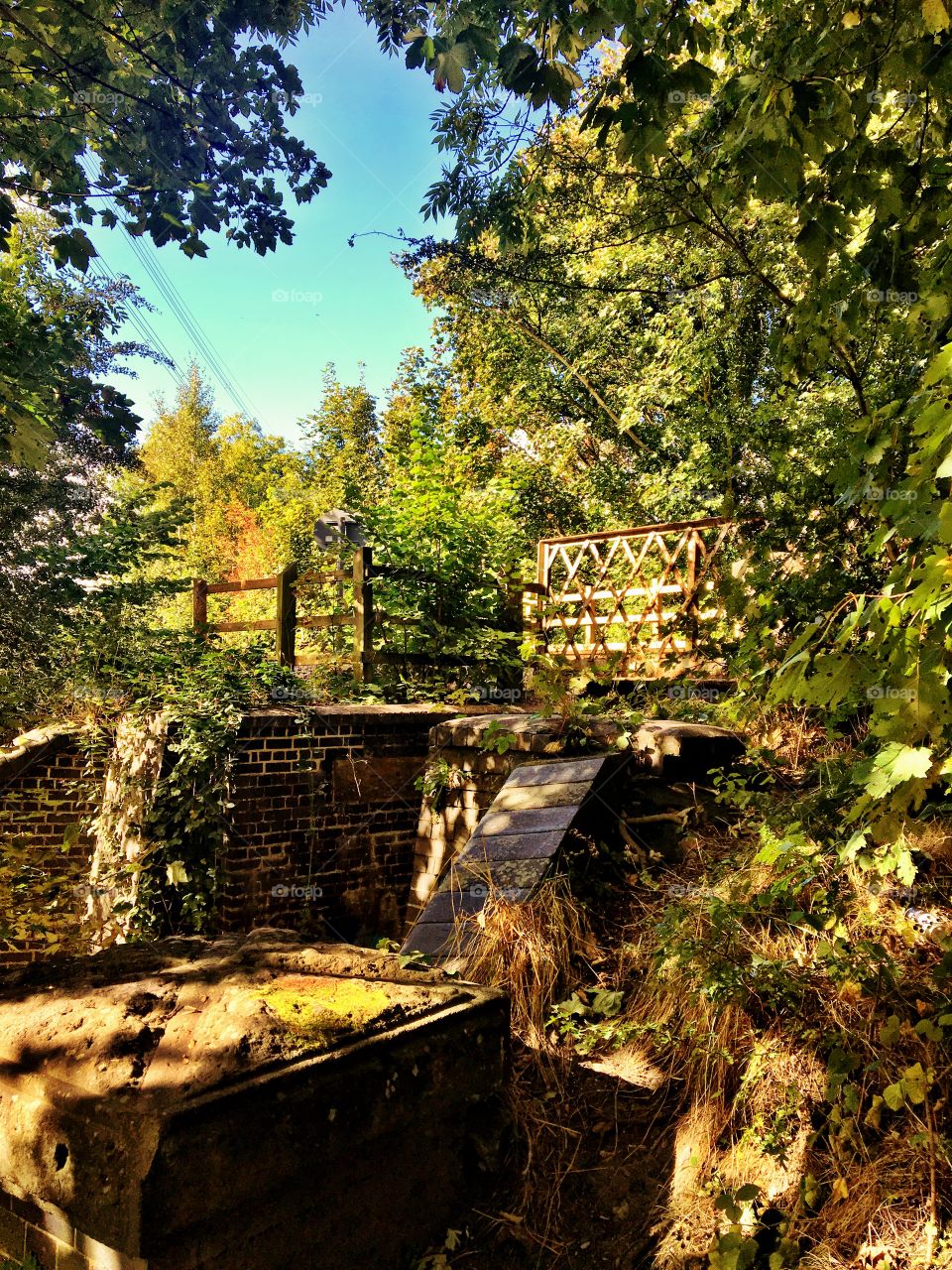 Old railway bridge in the woods