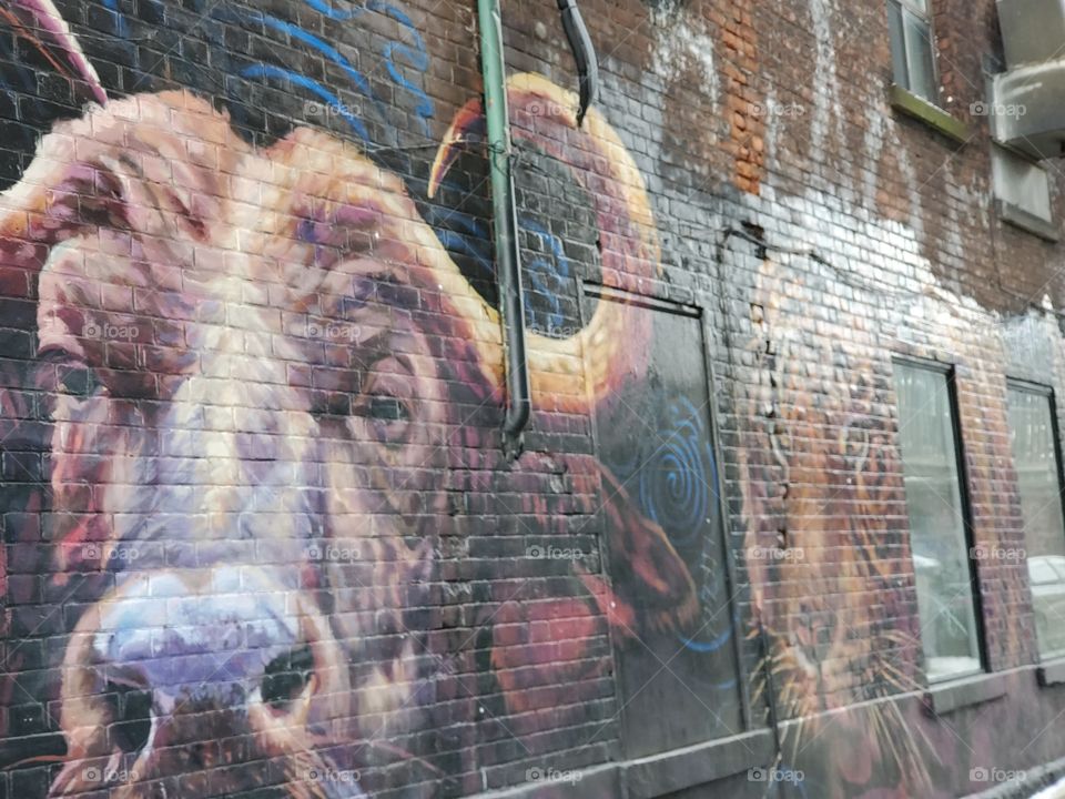 mighty  water buffalo