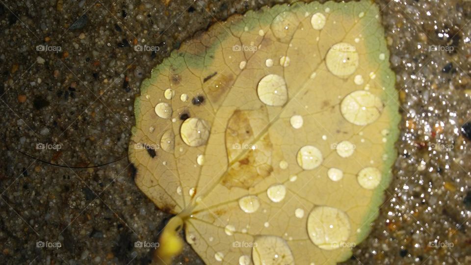 Desktop, Texture, No Person, Nature, Rain