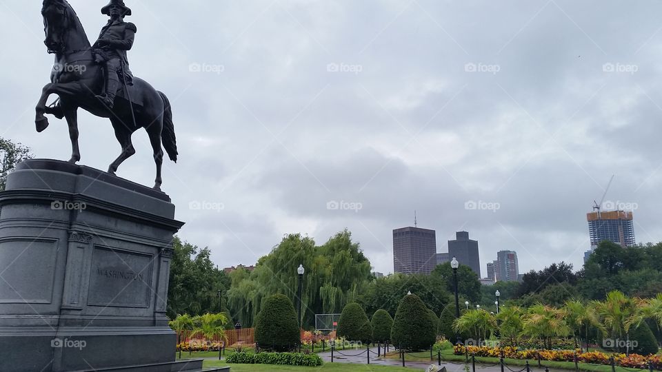 after the rain. Park view