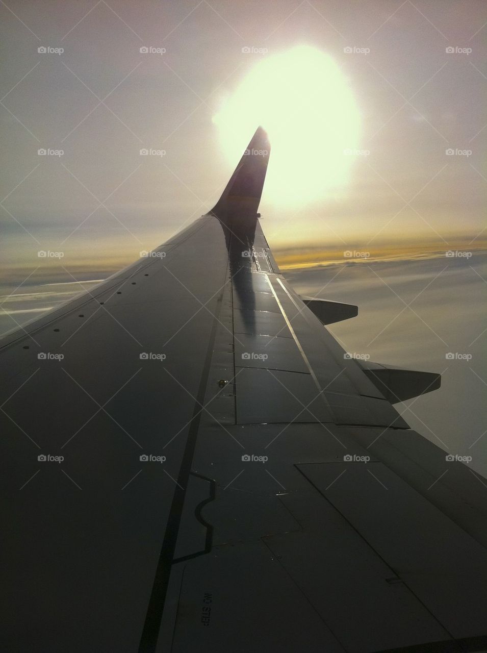 CONTINENTAL AIRLINES B737-900 JFK NEW YORK, NEW YORK