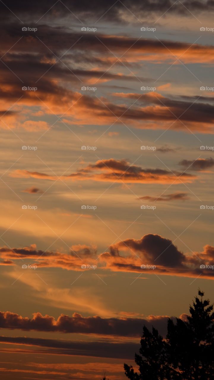 Colorful evening sky