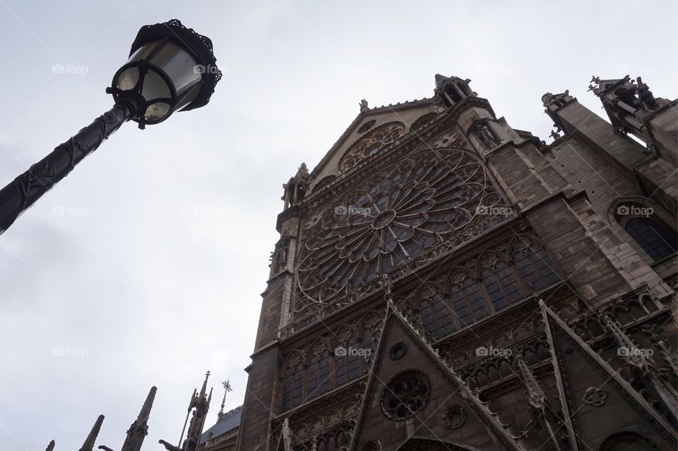 The side of Notre-Dame Cathedral, Paris