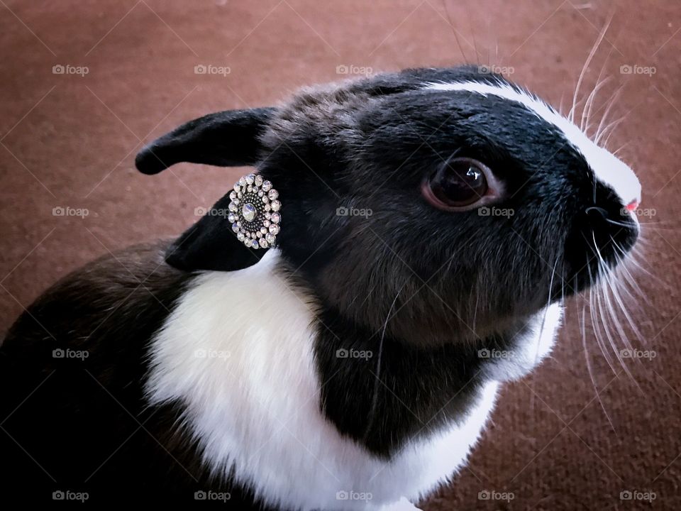 Baby bunny with pendant