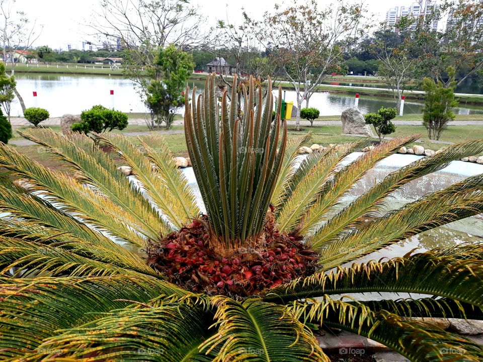 in simplicity nature shows us what is beautiful