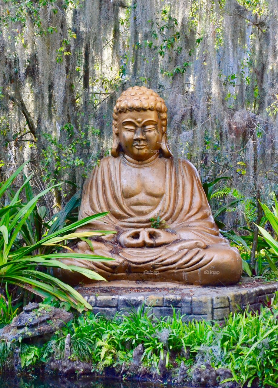 Buddha beauty
