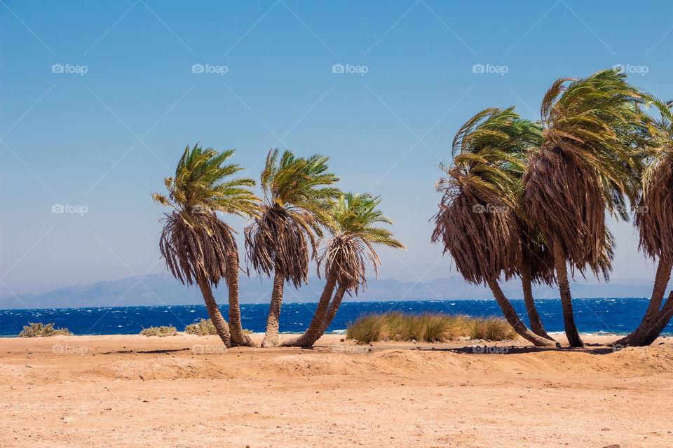 The three pools of Dahab