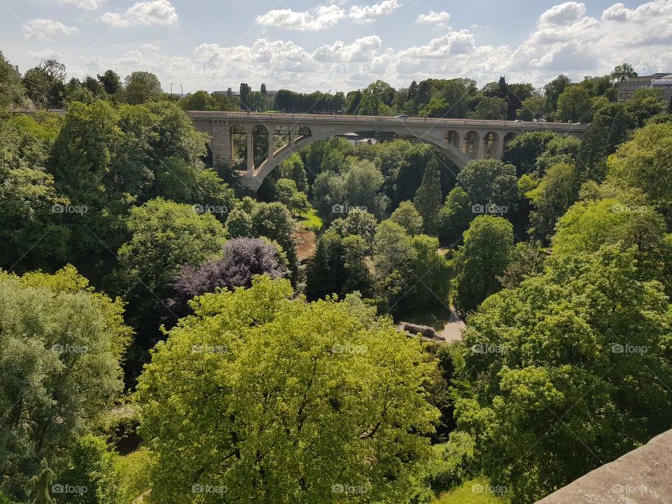 Fantastic view of a roman bridge surrounded by the beautiful and colorful green flora in Luxembourg in summer.