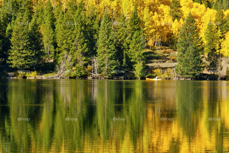 Reflection of trees in Lake