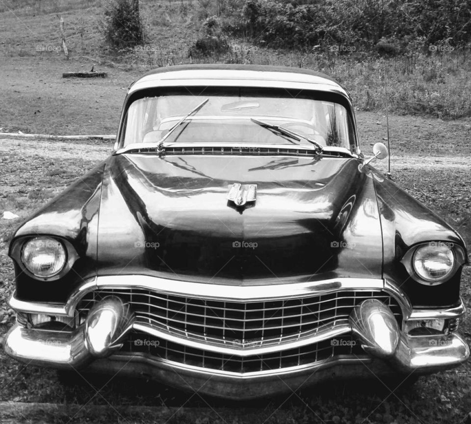 1955 Cadillac