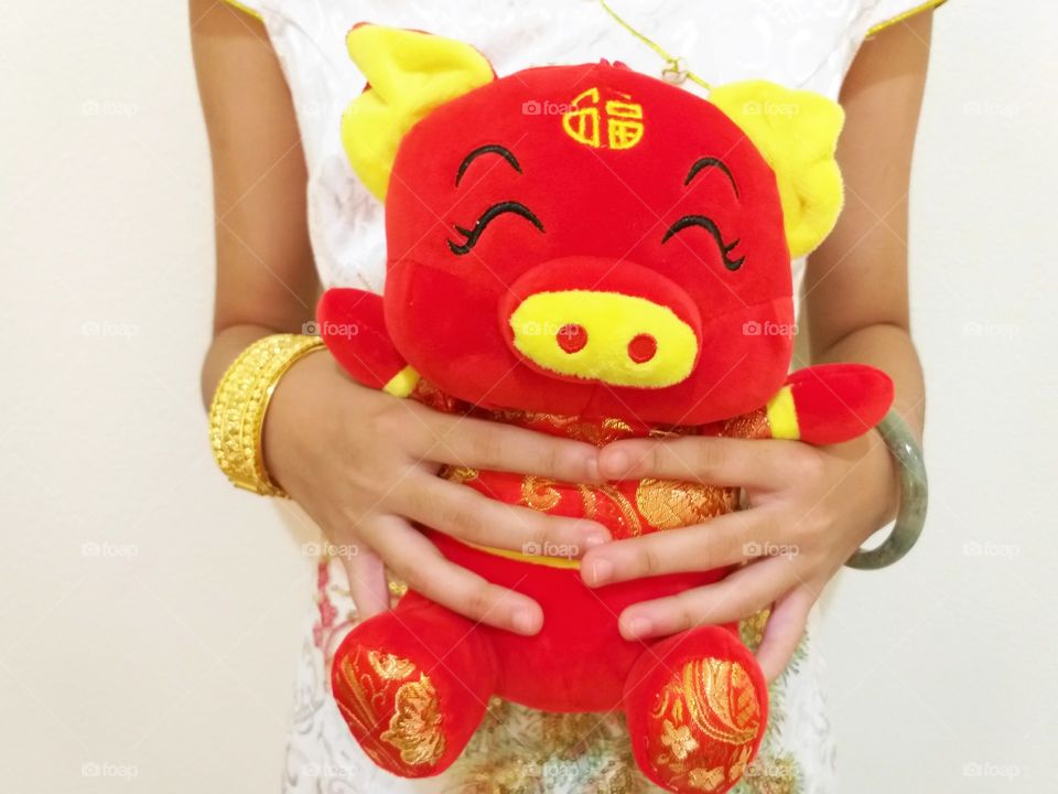 happy chinese new year. piggy year.