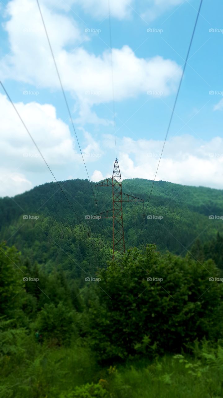 A view of the woods and the power lines stretching across forests and hills
