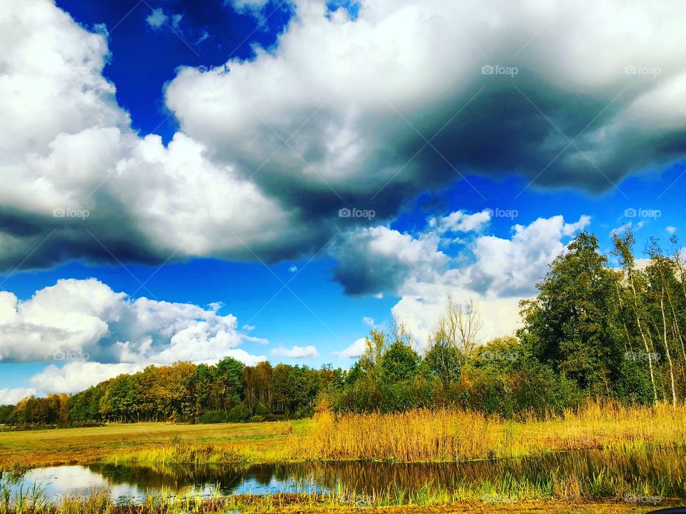 A beautiful and Tranquil scene of a natural landscape with trees and a pond under thick Fluffy clouds