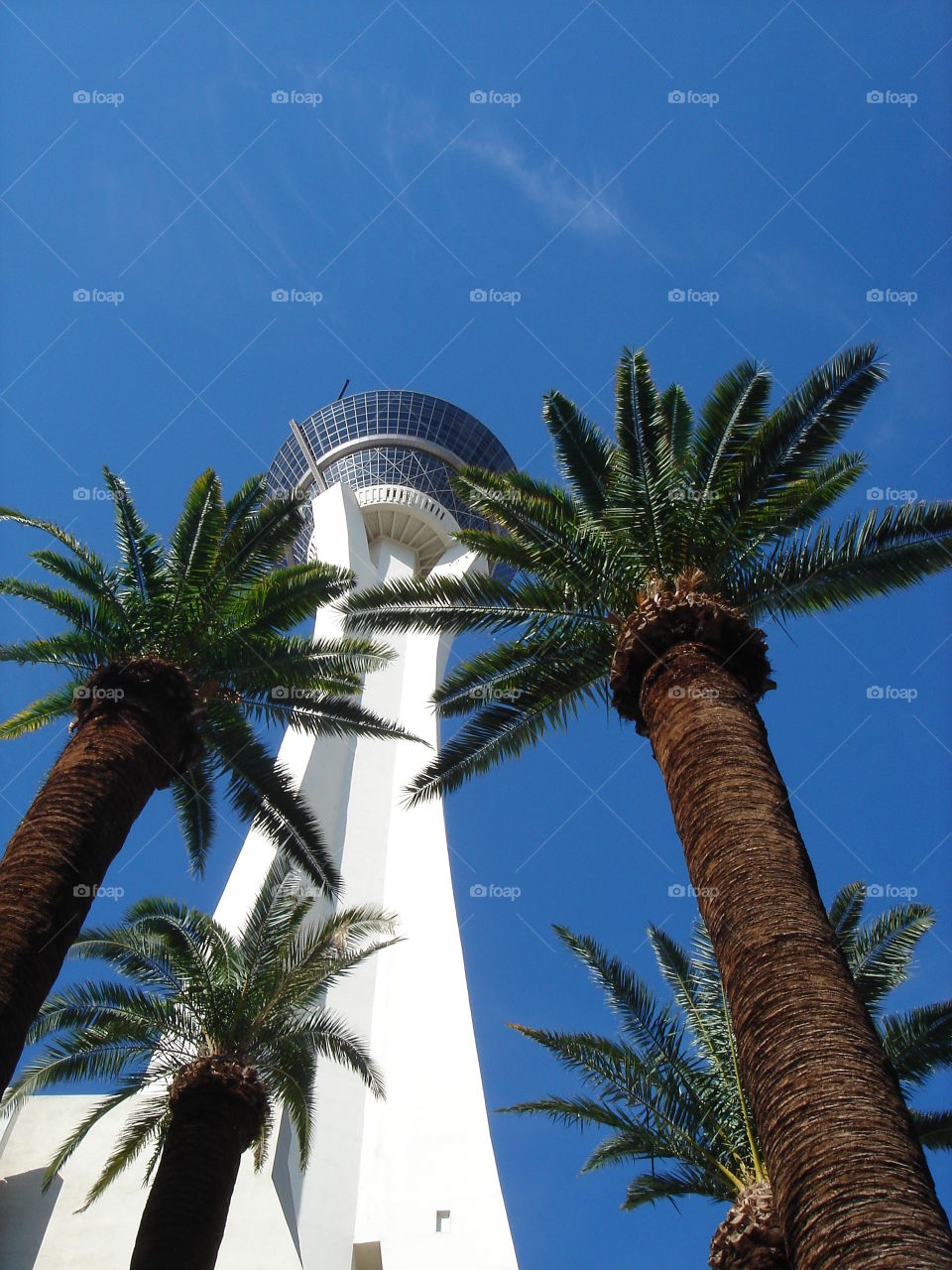 Stratosphere Tower 