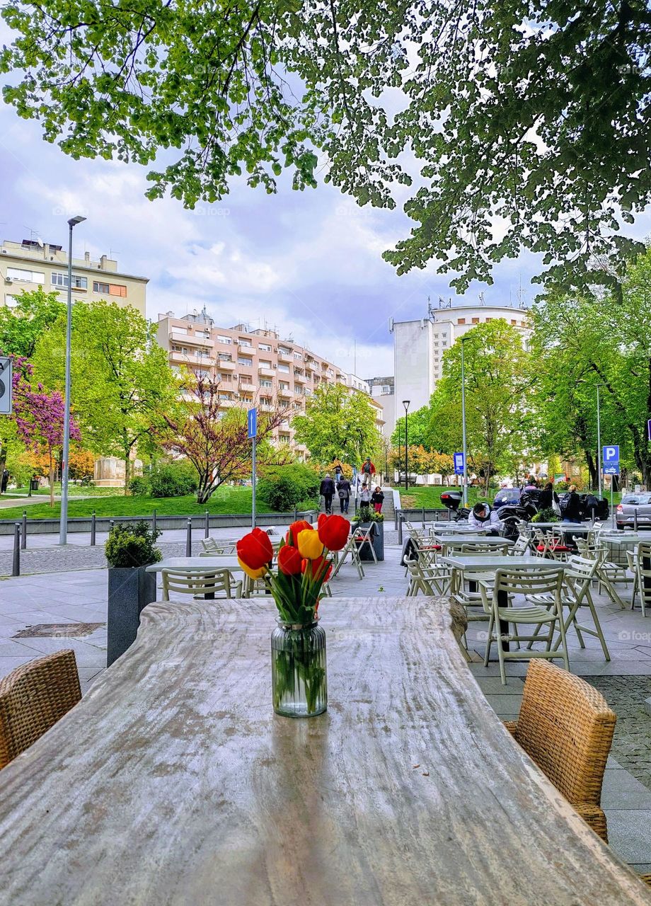 City landscape,  red and yellow tulips in a glass vase on a wooden table