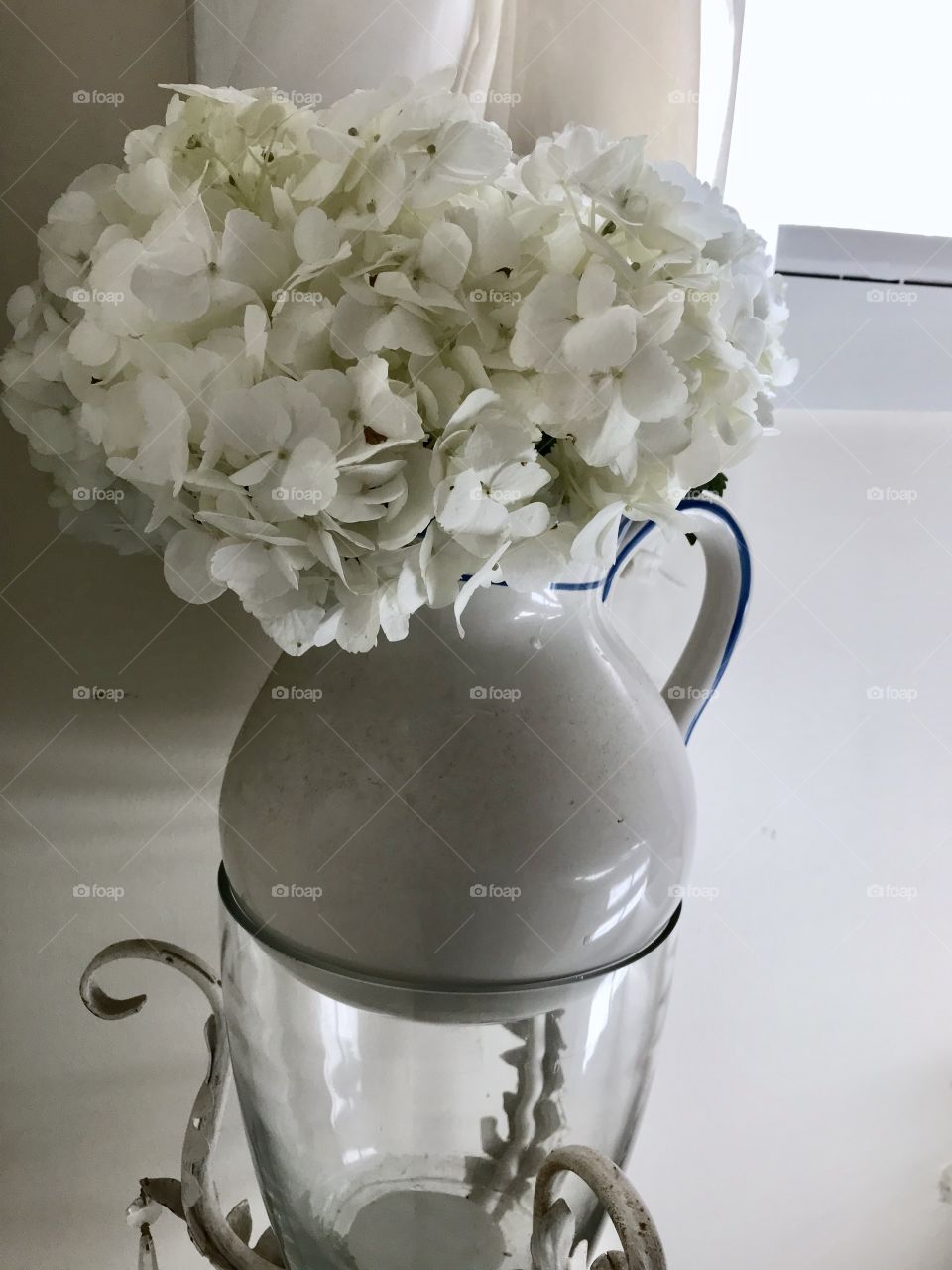 White hydrangeas milk pitcher still life