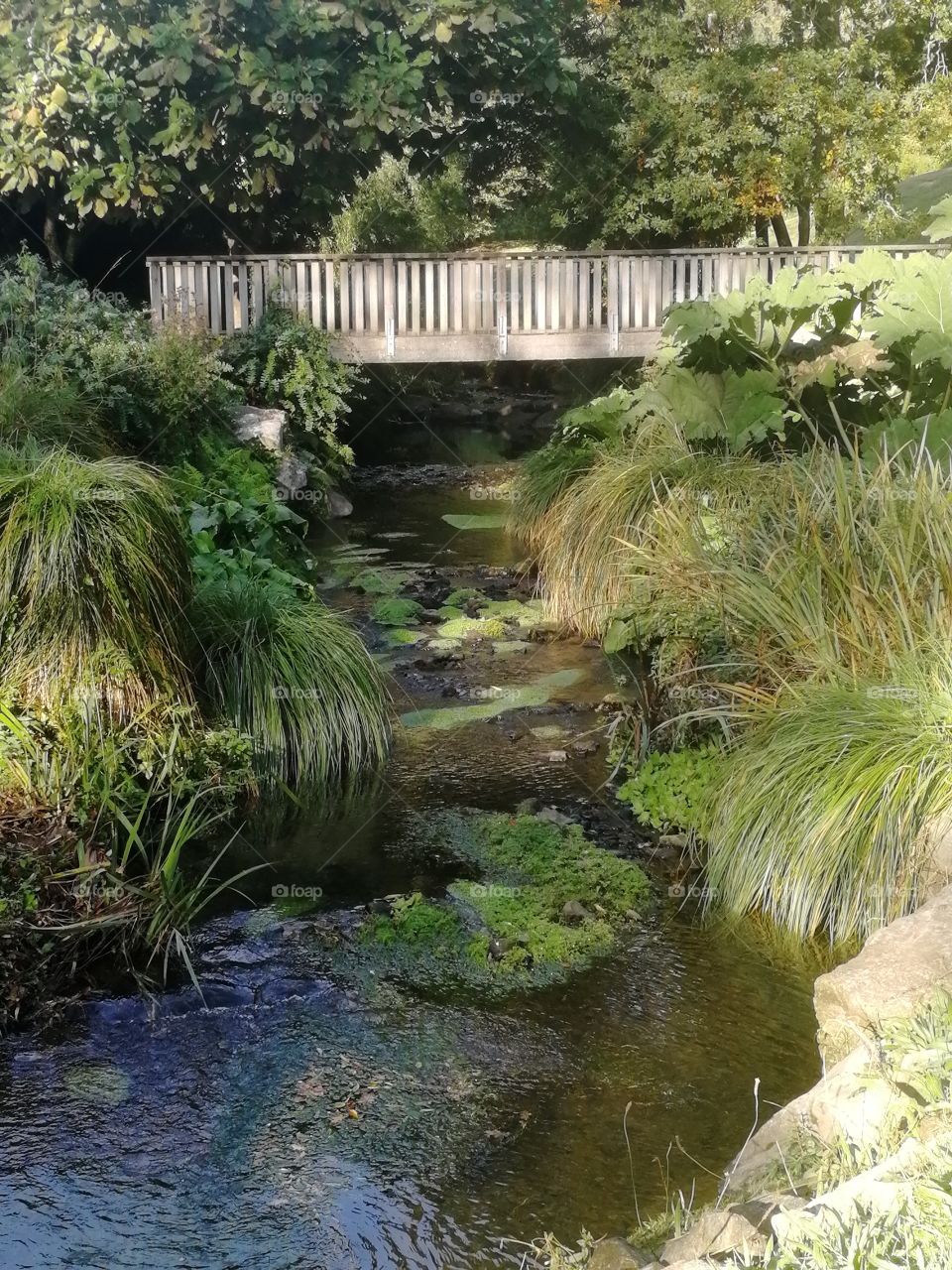 It's beautiful day ❤️